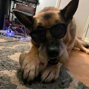 Meet your Posher, Karen